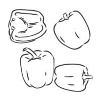 Bell pepper set vector