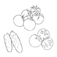 Simple vegetables set vector