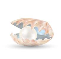 perla brillante en una concha de mar abierta vector