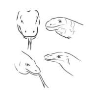 Running black line varan, dragon Komodo, on white background. Sketch style. Vector graphic icon animal. varan vector sketch on a white background