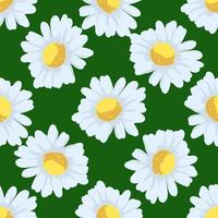 chamomile flowers seamless pattern