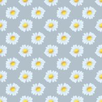 chamomile flowers seamless pattern vector