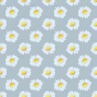 chamomile flowers seamless pattern vector