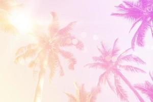 Tropical palm coconut trees on sunset sky flare and bokeh nature background. photo