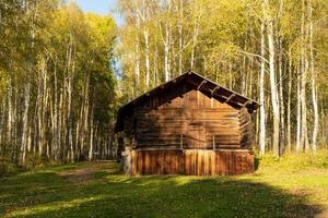 Cabin in a forest of birch trees in Taltsy, Russia photo