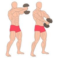 Man doing weights in the gym. Exercising muscles in the gym vector