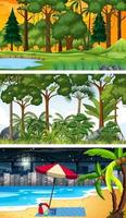 Tres escenas horizontales de bosque diferentes. vector