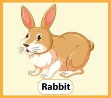 tarjeta de palabra inglesa educativa de conejo vector