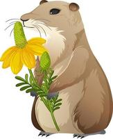 Animal cartoon character of Prairie dog on white background vector