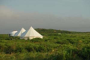 White tents in a field with cloudy blue sky photo