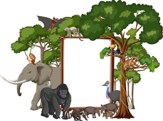 Empty banner with wild animals and rainforest trees on white background