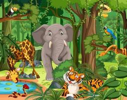 Wild animal cartoon character in the forest scene vector