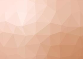 polygon abstract mosaic vector