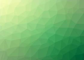 polygon abstract mosaic pattern background vector