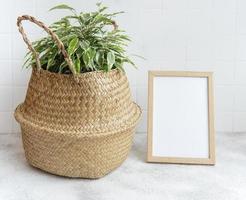 Ficus en una canasta con una maqueta de marco de imagen en blanco foto