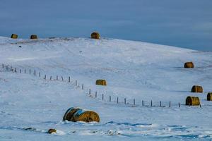 Hay bales in the snow