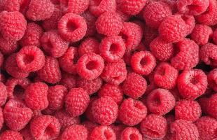 Fresh raspberries as textured background photo