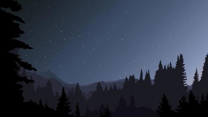 Night Forest Vector Art, Icons, and Graphics for Free Download