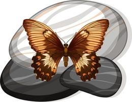 Top view of butterfly on a stone on white background vector