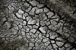 Draught land background with seamless abstract pattern. Dry land with cracks. photo