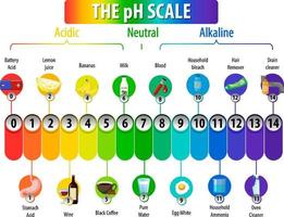 A pH scale on white background vector