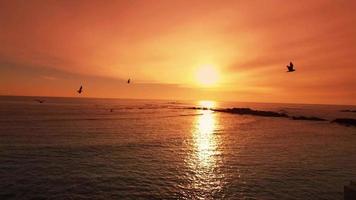 naturskön sommarsolnedgång vid havet nära bränningen video
