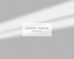 Shadow overlay effect. Natural shadows from window isolated on transparent background. Vector illustration.