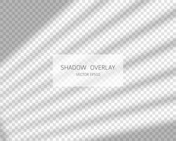 Shadow overlay effect. Natural shadows from window isolated on transparent background. Vector illustration.