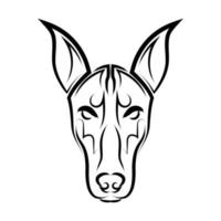 Black and white line art of Doberman Pinscher dog head. vector