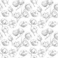 Seamless pattern with cotton on sketch style vector