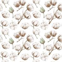 Seamless pattern with cotton vector