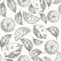 Seamless pattern with lemons in sketch style vector