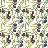 Seamless pattern with olive branches vector