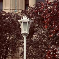 Street lamps in the city photo