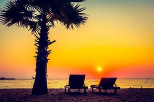 Silhouette of a palm tree on the beach photo