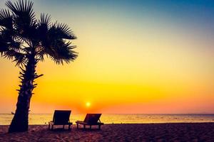 silueta de una palmera en la playa foto