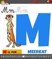 letter M from alphabet with cartoon meerkat animal vector