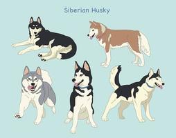 Ilustraciones de diseño de vectores de estilo dibujado a mano de husky siberiano.