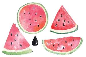 Watercolor Watermelon set vector