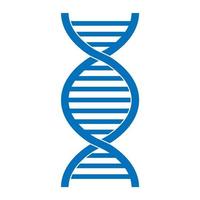 Medical scientific twisted helix structure abstract model of dna genes vector