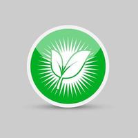 logotipos de ecología de icono de elemento de naturaleza de hoja verde sobre fondo blanco .vector ilustrador vector