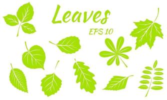 Collection of green leaves. Leaves of different shapes. Carved leaves. Silhouette. vector