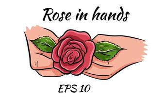 Red rose in female hands. Romantic.Isolated drawing on a white background. vector