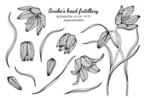 Set of Snake's head fritillary flower and leaf hand drawn botanical illustration with line art on white backgrounds. vector