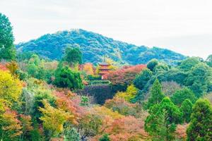 Kiyomizu Dera temple in Kyoto, Japan photo