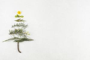 Christmas tree from branches on white background