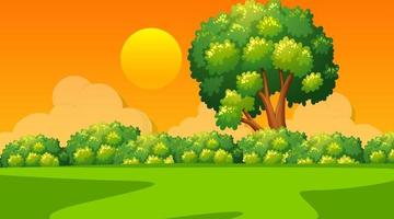 Blank landscape scene of nature park at sunset time vector