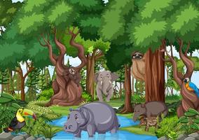 personaje de dibujos animados de animales salvajes en la escena del bosque vector