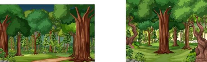 Jungle scene with liana and many trees vector