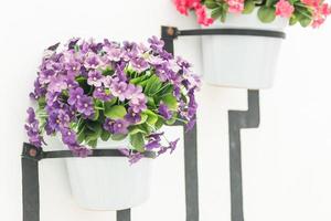 Flower vase on white wall background photo